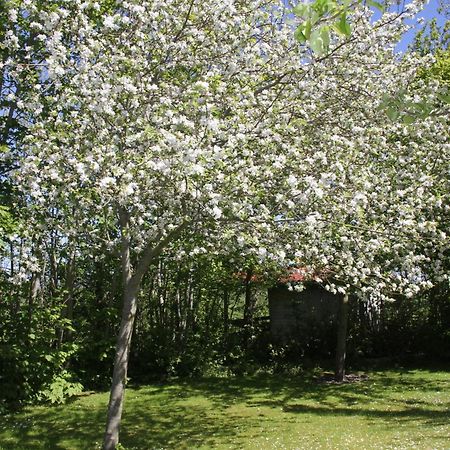 Ee Countryside Eco Natuurhuisjes מראה חיצוני תמונה