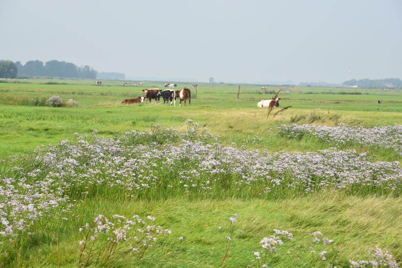 Ee Countryside Eco Natuurhuisjes מראה חיצוני תמונה