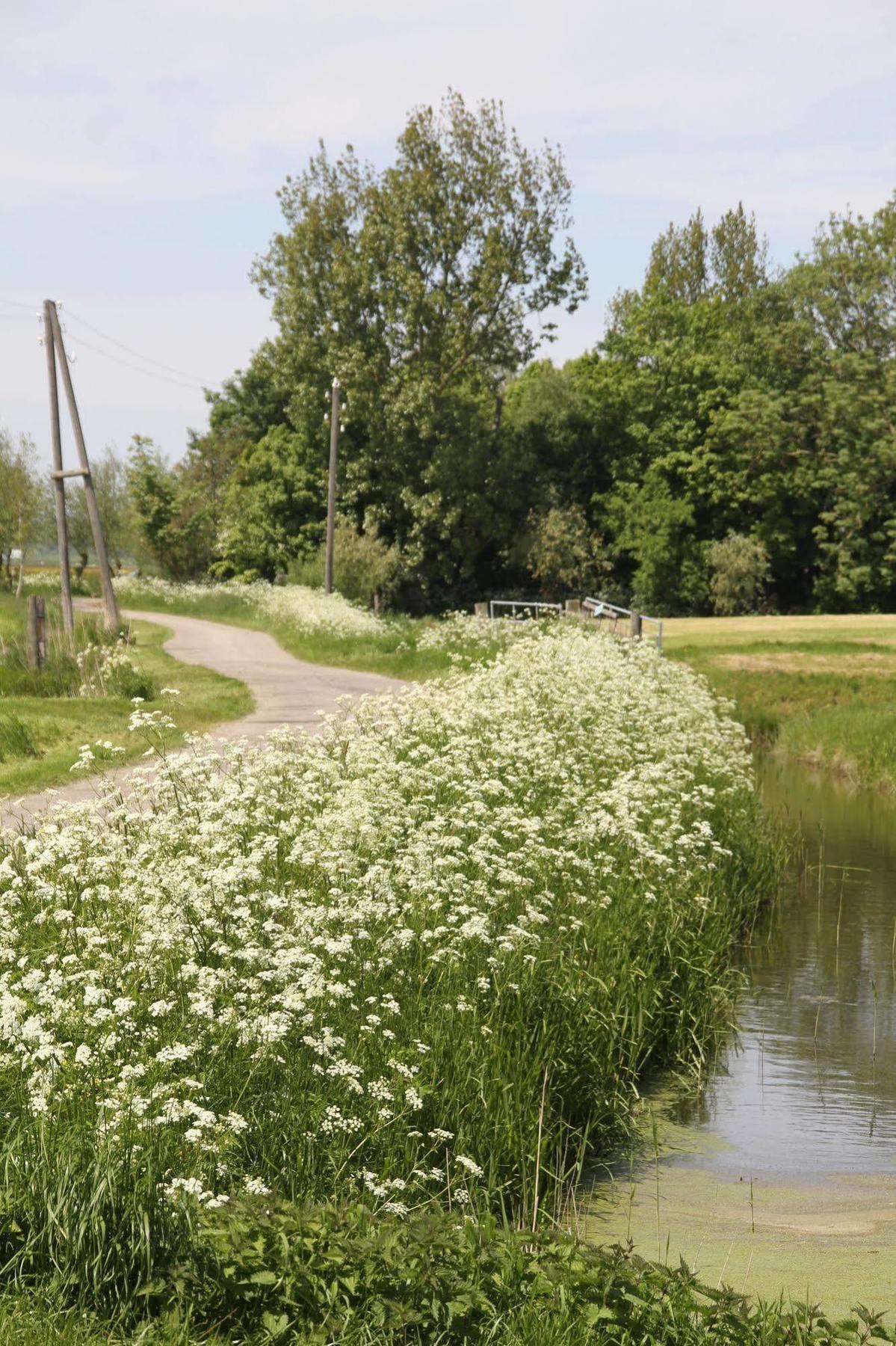 Ee Countryside Eco Natuurhuisjes מראה חיצוני תמונה